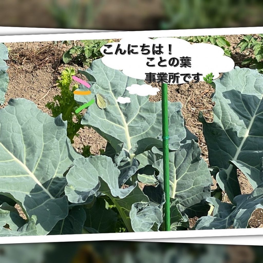 こんにちは！『ことの葉』事業所です今朝の延岡市空は薄いブルーのかかった羊雲という優しいお天気に恵まれました。