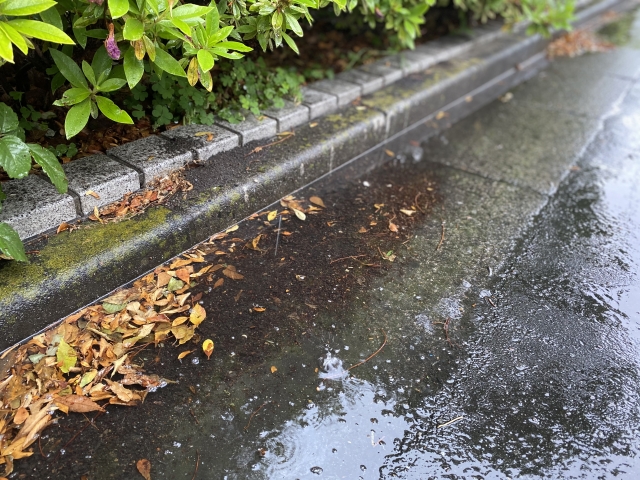 一雨一度って？秋の訪れを感じますね！