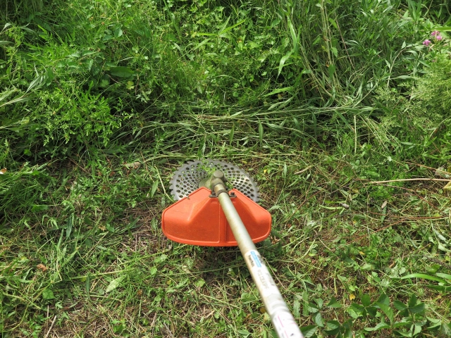 個人宅の庭などの除草作業の依頼を承っております！